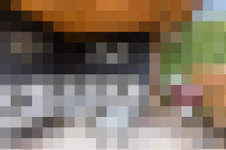 Varenkade 53 Bergschenhoek thumbnail 34