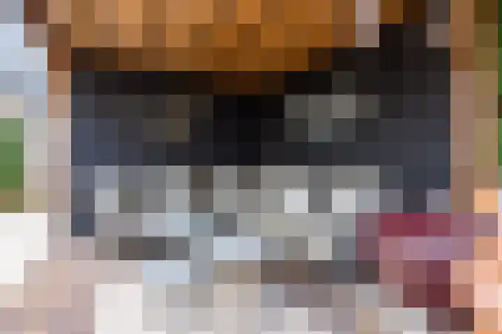 Varenkade 53 Bergschenhoek thumbnail 35