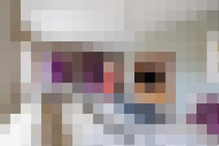 Varenkade 53 Bergschenhoek thumbnail 6