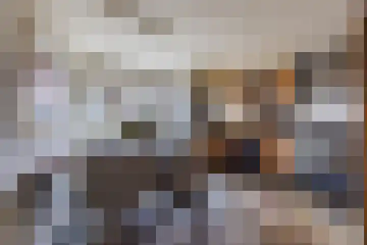 Varenkade 53 Bergschenhoek thumbnail 8