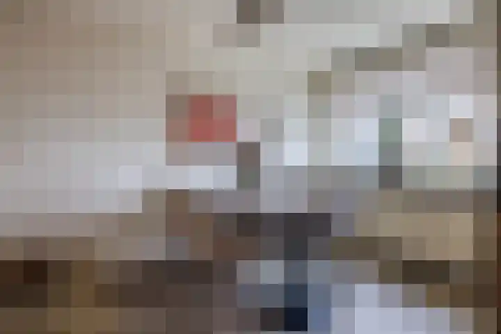 Varenkade 53 Bergschenhoek thumbnail 9
