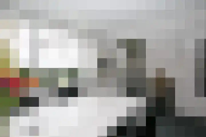 Varenkamp 11 Emmen thumbnail 12