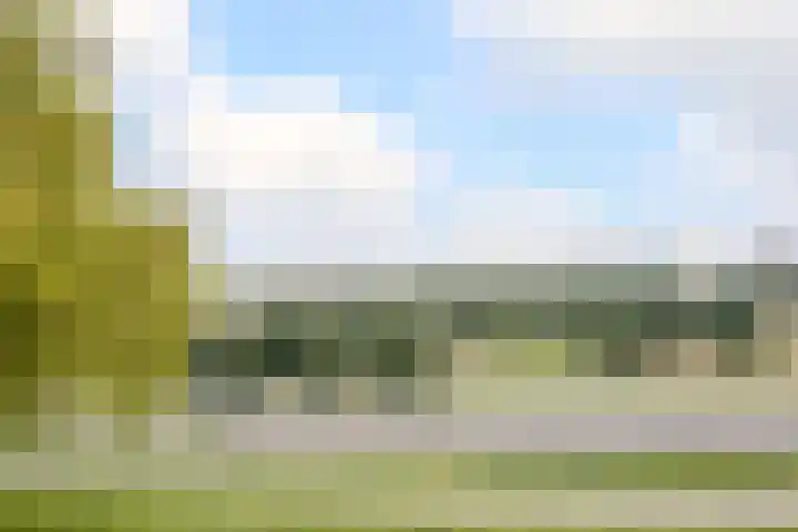 Varenkamp 11 Emmen thumbnail 14