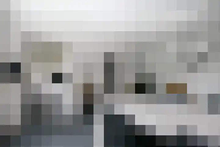 Varenkamp 11 Emmen thumbnail 16
