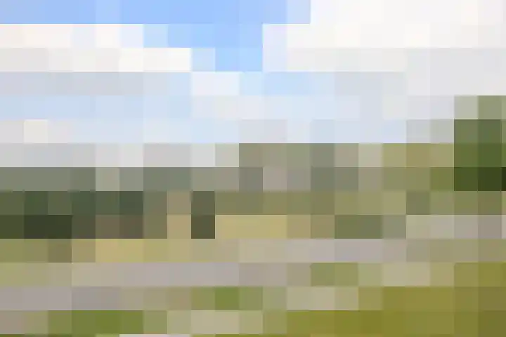 Varenkamp 11 Emmen thumbnail 22