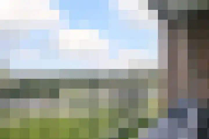 Varenkamp 11 Emmen thumbnail 23