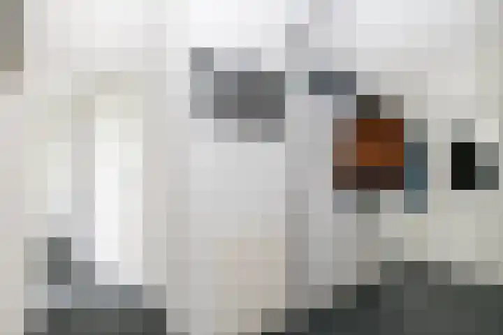 Varenkamp 11 Emmen thumbnail 24