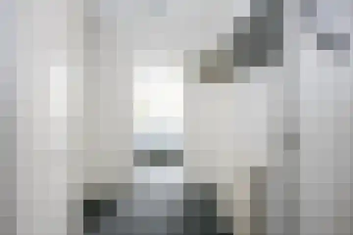 Varenkamp 11 Emmen thumbnail 26