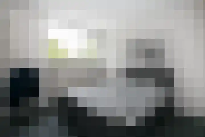 Varenkamp 11 Emmen thumbnail 27