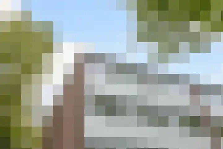 Varenkamp 11 Emmen thumbnail 33