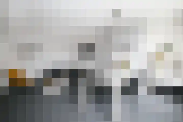 Varenkamp 11 Emmen thumbnail 8