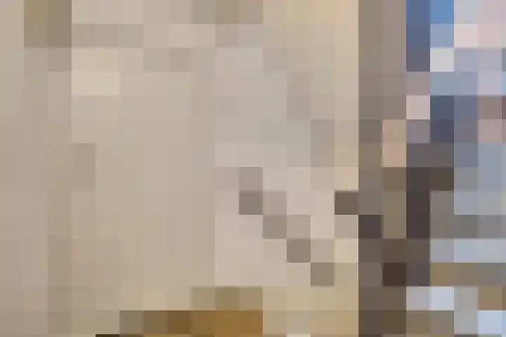 Varenkamp 119 Emmen thumbnail 26
