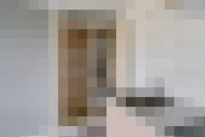 Varenkamp 129 Emmen thumbnail 14