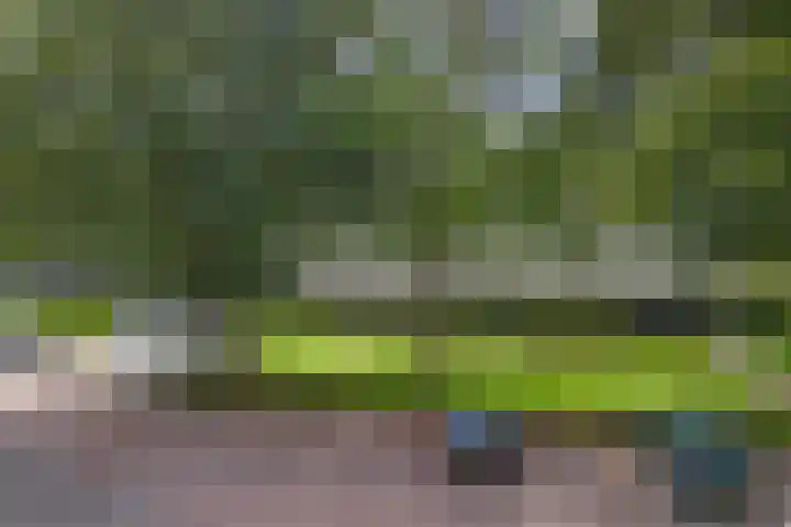 Varenkamp 129 Emmen thumbnail 18