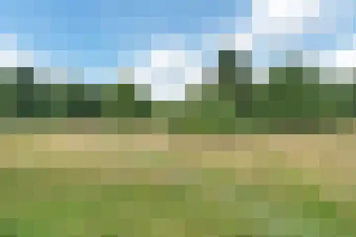 Varenkamp 129 Emmen thumbnail 23