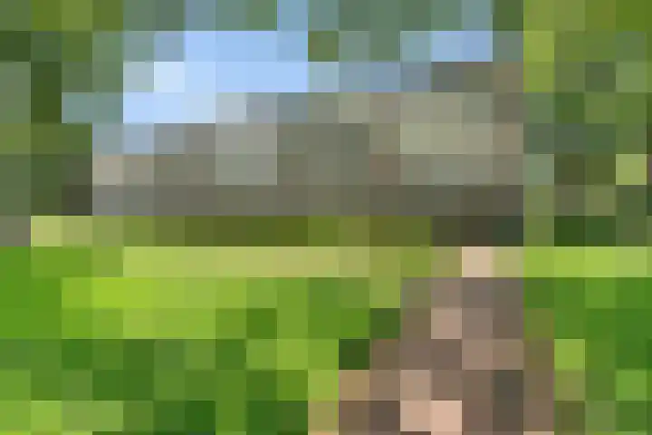 Varenkamp 129 Emmen thumbnail 25
