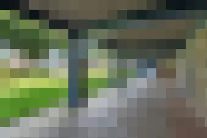 Varenkamp 129 Emmen thumbnail 4