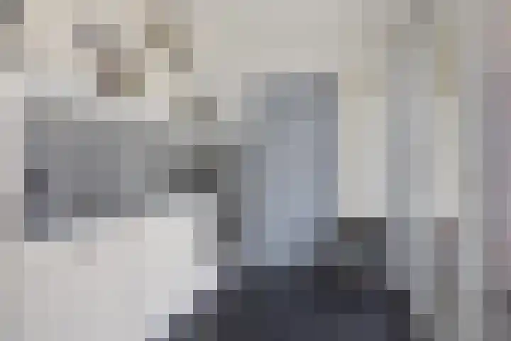 Varenkamp 13 Emmen thumbnail 22