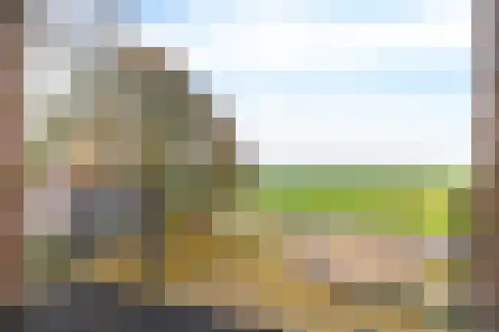 Varenkamp 13 Emmen thumbnail 38