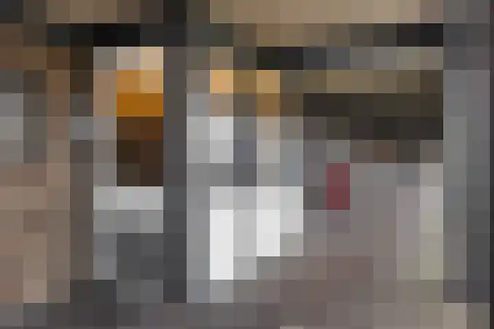 Varenkamp 13 Emmen thumbnail 4