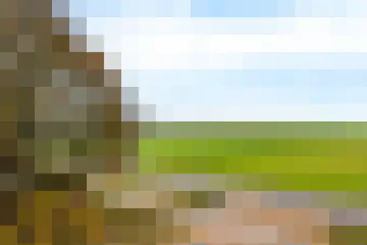 Varenkamp 13 Emmen thumbnail 43