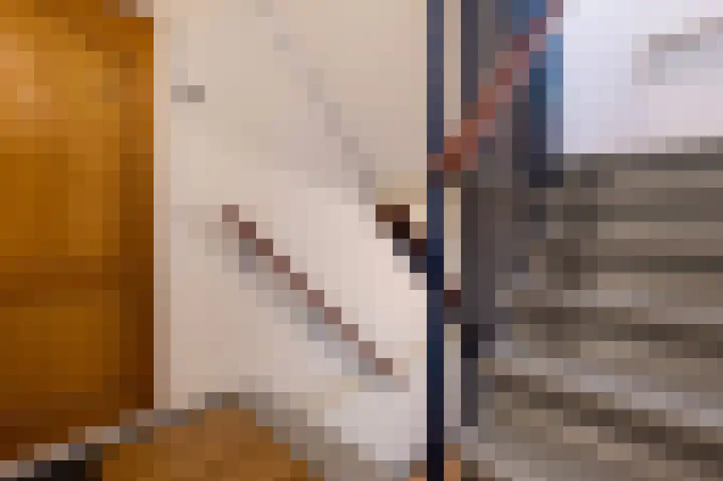 Varenkamp 131 Emmen thumbnail 17