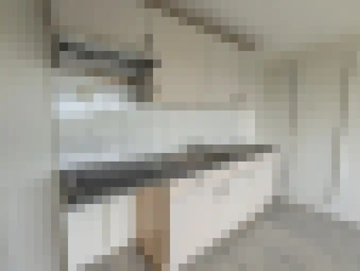 Varenkamp 15 Emmen thumbnail 5
