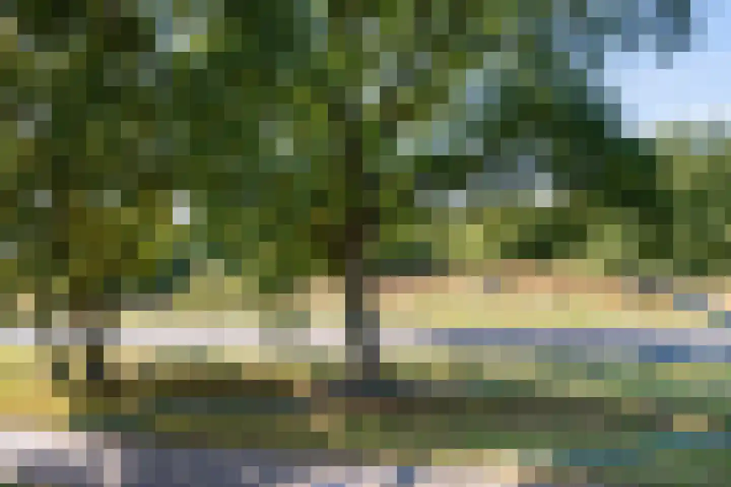 Varenkamp 183 Emmen thumbnail 20