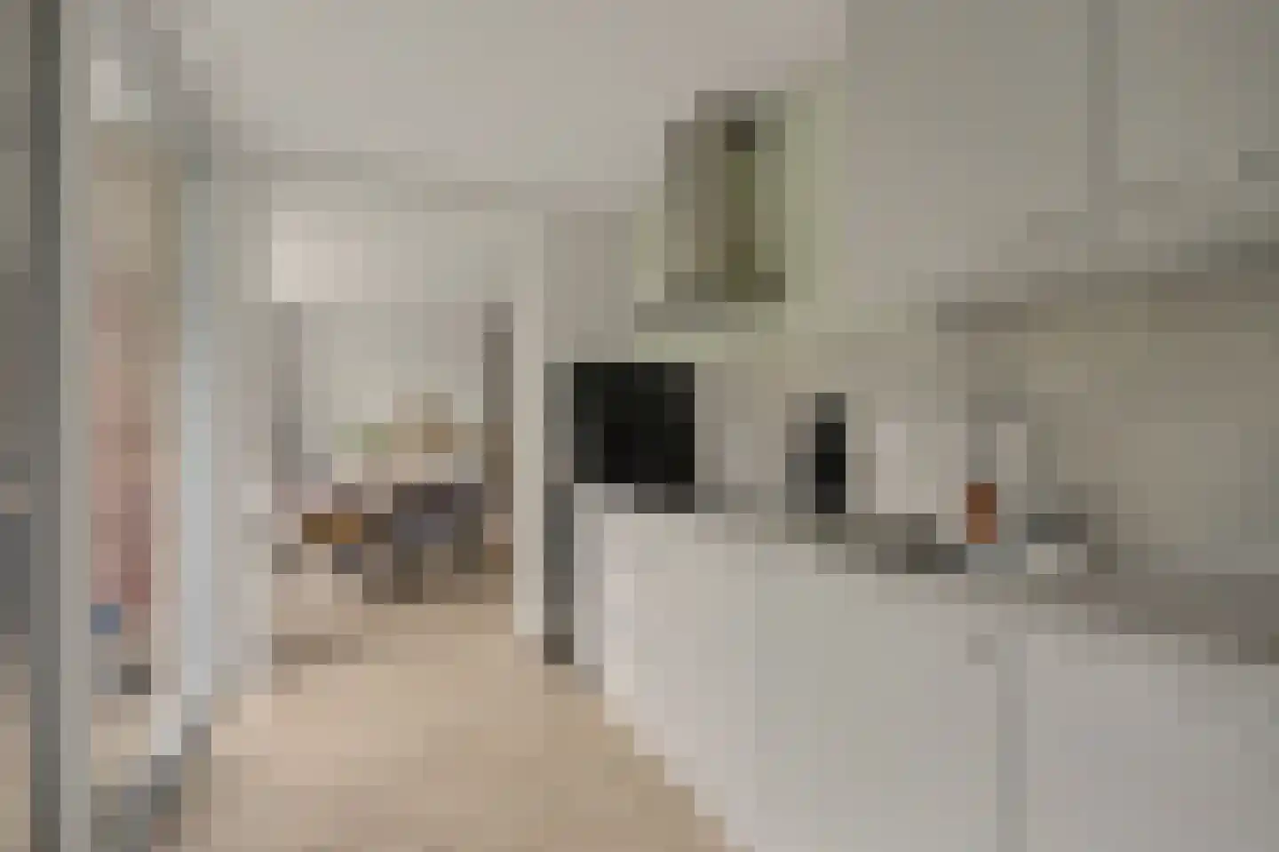 Varenkamp 205 Emmen thumbnail 15
