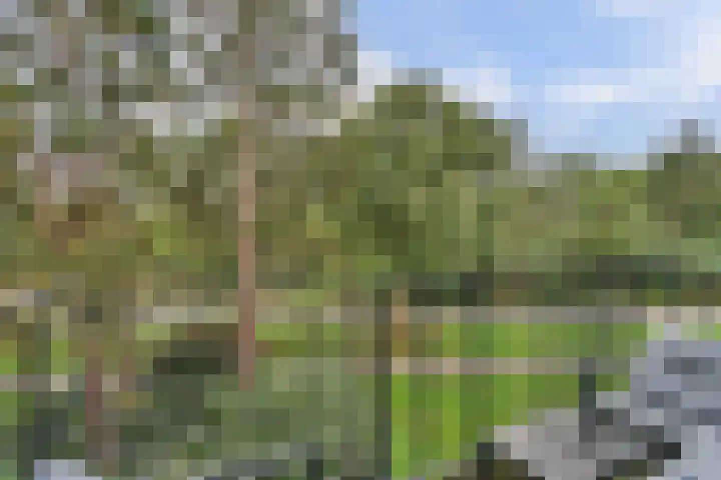 Varenkamp 205 Emmen thumbnail 26