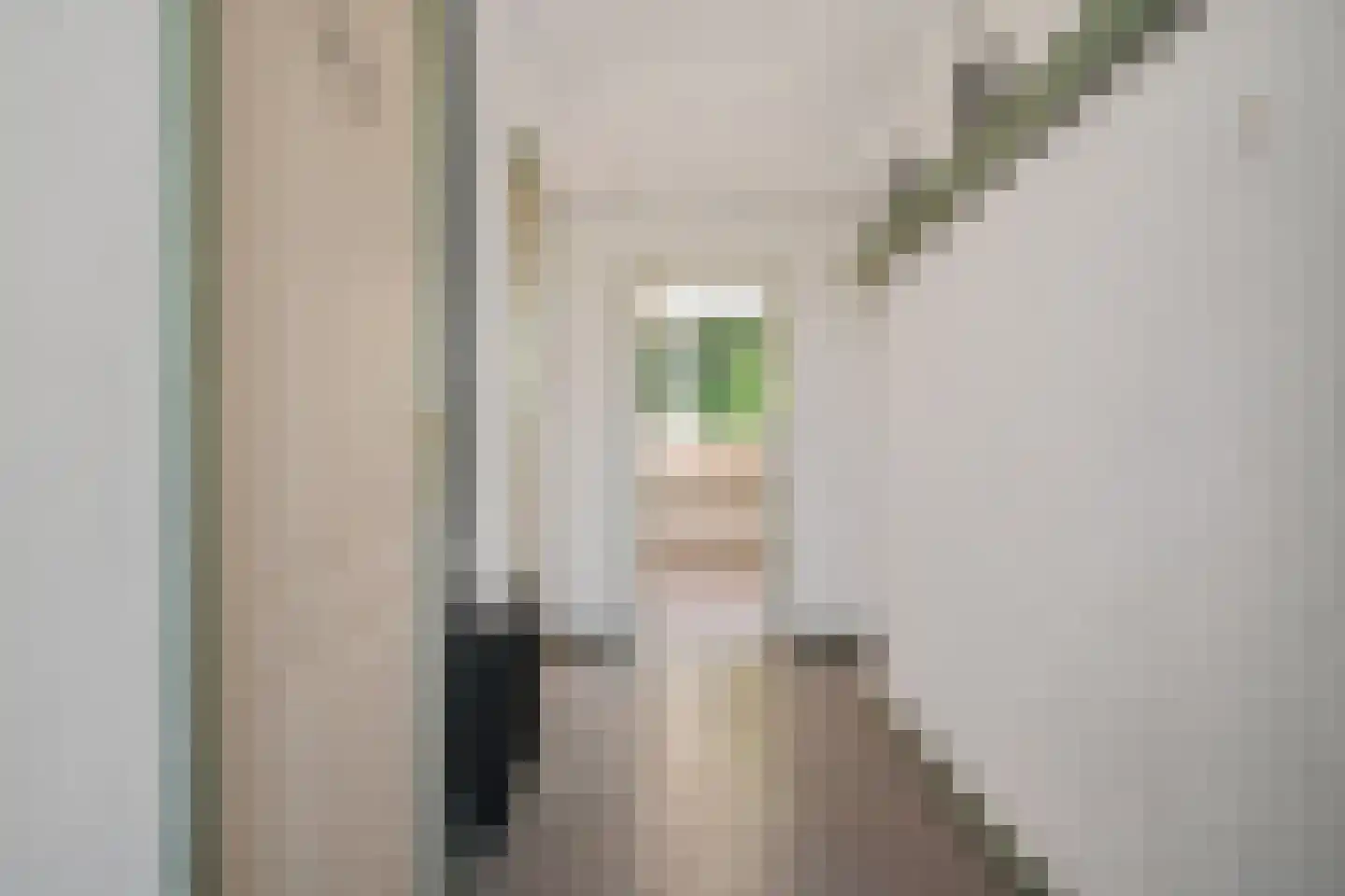 Varenkamp 23 Emmen thumbnail 23
