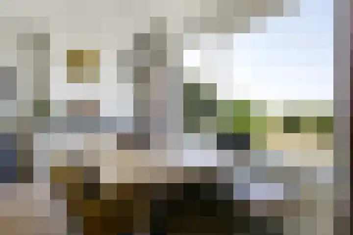 Varenkamp 39 Emmen thumbnail 14
