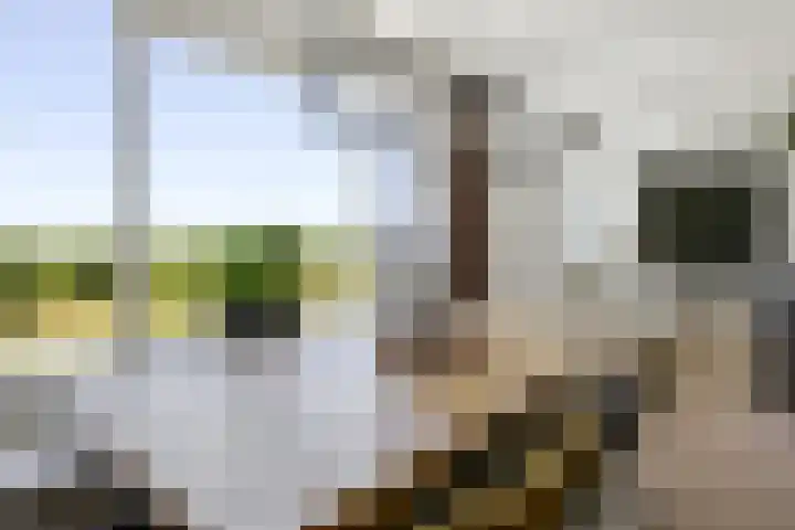 Varenkamp 39 Emmen thumbnail 15