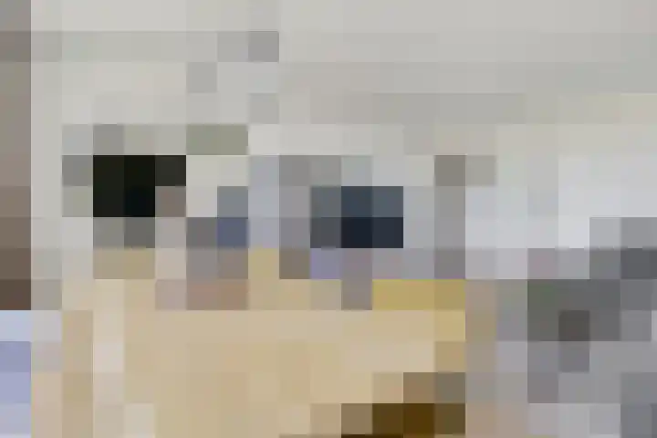 Varenkamp 39 Emmen thumbnail 16