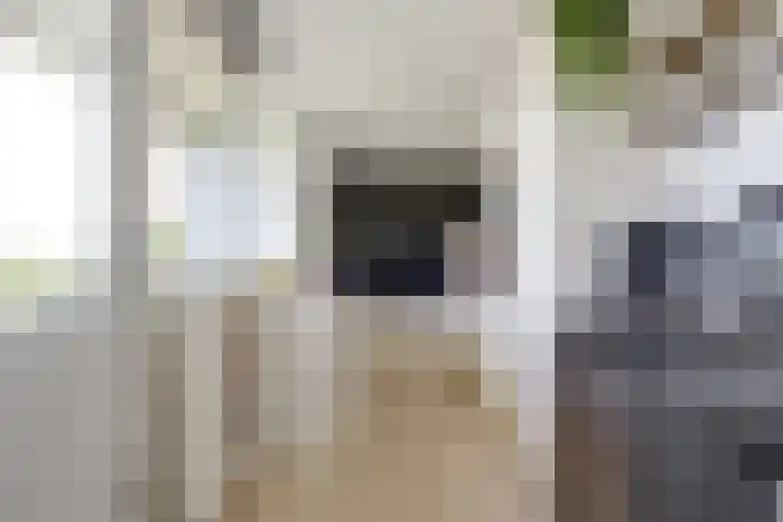 Varenkamp 39 Emmen thumbnail 17