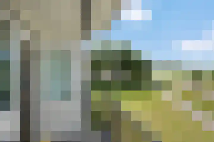 Varenkamp 39 Emmen thumbnail 34