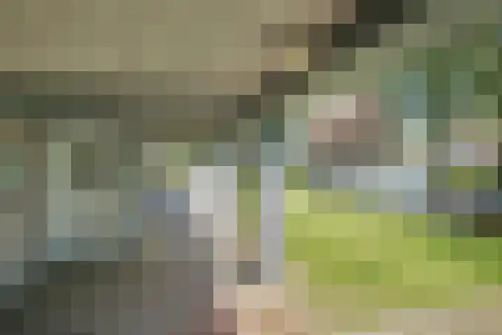 Varenkamp 39 Emmen thumbnail 35