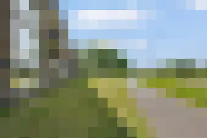 Varenkamp 39 Emmen thumbnail 36