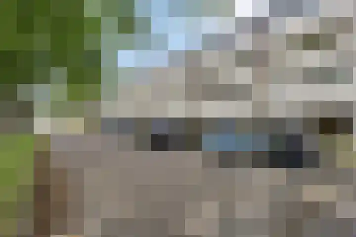 Varenkamp 39 Emmen thumbnail 43