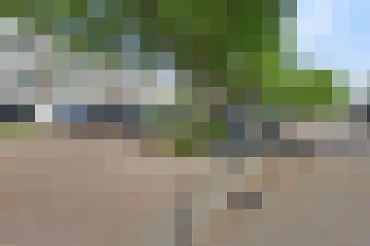 Varenkamp 39 Emmen thumbnail 5