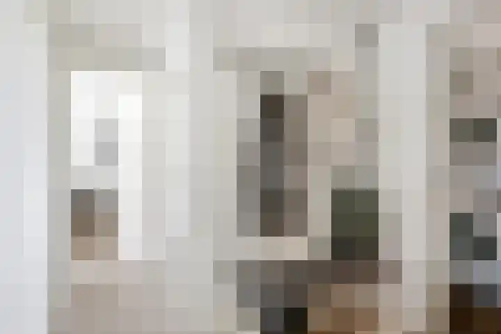 Varenkamp 39 Emmen thumbnail 6