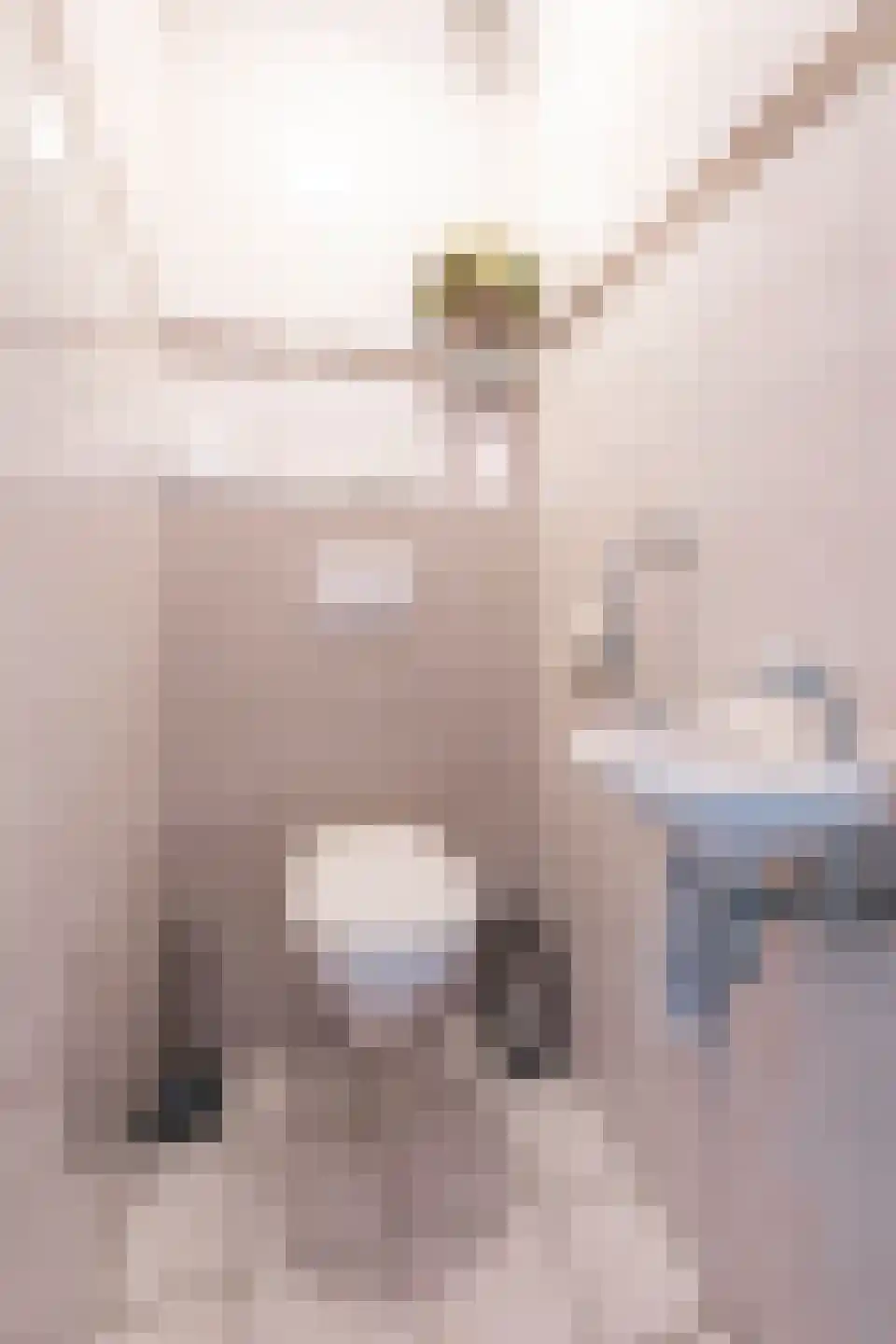 Varenkamp 5 Barneveld thumbnail 10