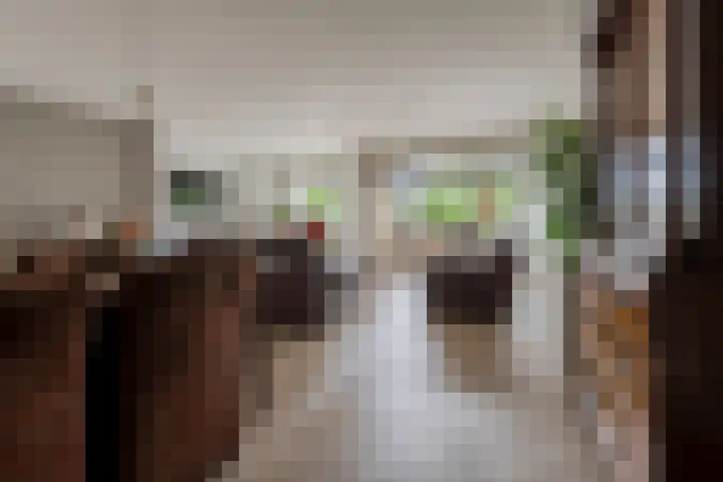Varenkamp 5 Barneveld thumbnail 14