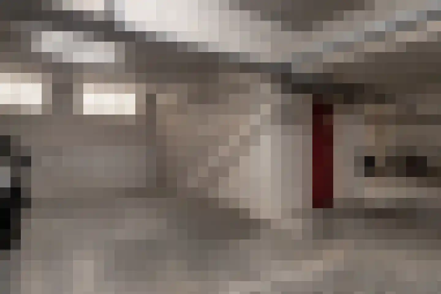 Varenkamp 5 Barneveld thumbnail 41