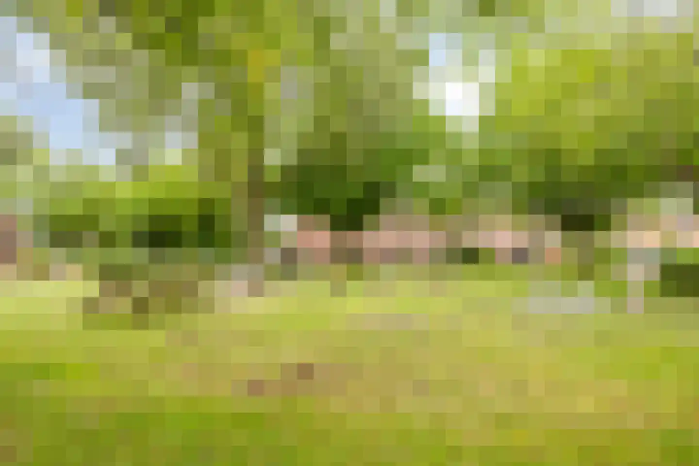 Varenkampen 13 Assen thumbnail 33