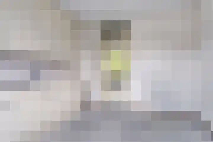 Varenkampen 6 Assen thumbnail 18