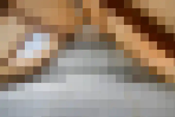 Varenkampen 6 Assen thumbnail 36