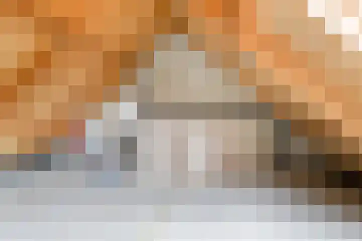 Varenkampen 6 Assen thumbnail 37