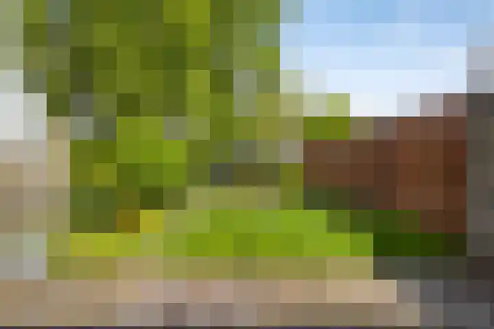 Varenkampen 6 Assen thumbnail 38