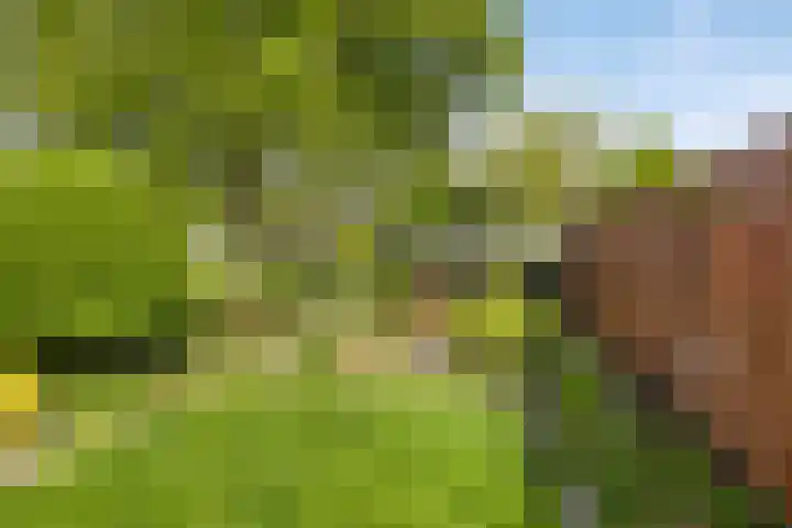 Varenkampen 6 Assen thumbnail 39